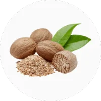 Nutmeg