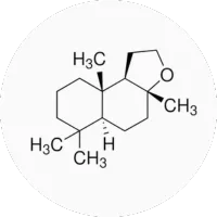 Orcanox