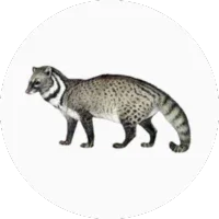 Animalic