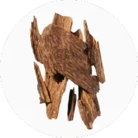 Akigalawood