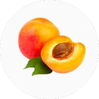 Apricot