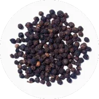 Black Pepper