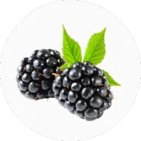 Blackberry