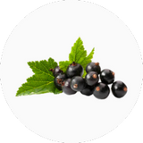 Blackcurrant