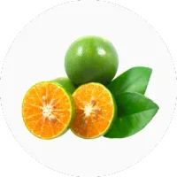 Calamondin (Calamansi)