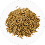 Caraway