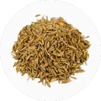 Caraway