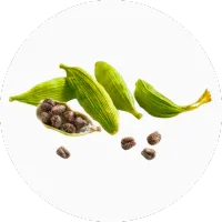 Cardamom