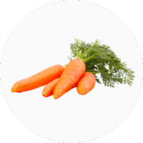 Carrot