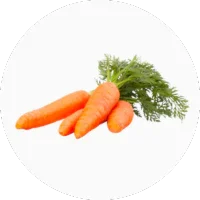 Carrot