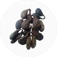 Castoreum