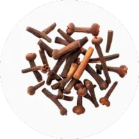 Clove
