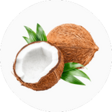Coconut