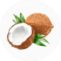 Coconut