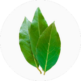 Bay Leaf