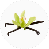 Vanilla