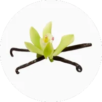 Vanilla