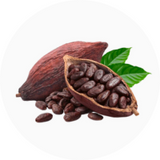 Cacao
