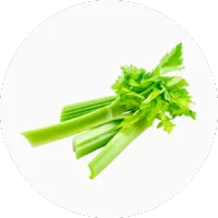 Celery