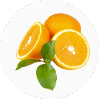 Citrus