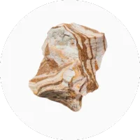 Ambergris
