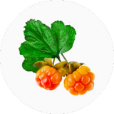 Cloudberry