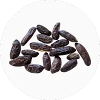 Coumarin