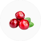 Cranberry