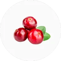 Cranberry