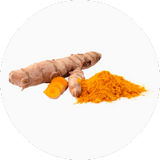 Curcuma (Turmeric)