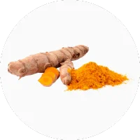 Curcuma (Turmeric)