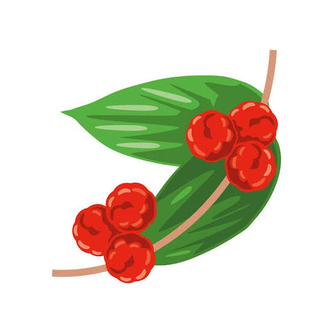 Red pepper berry