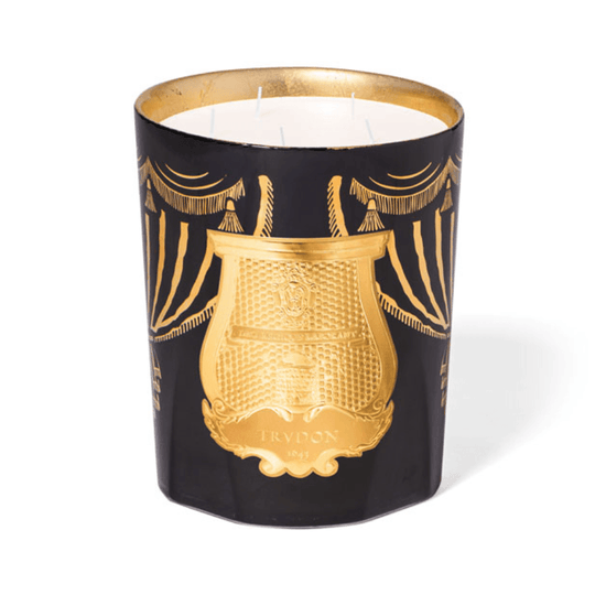 Trudon - Xmas 2024 - Fir Candle - Ascent Luxury Cosmetics