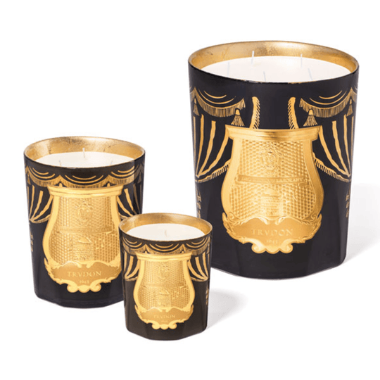 Trudon - Xmas 2024 - Fir Candle - Ascent Luxury Cosmetics