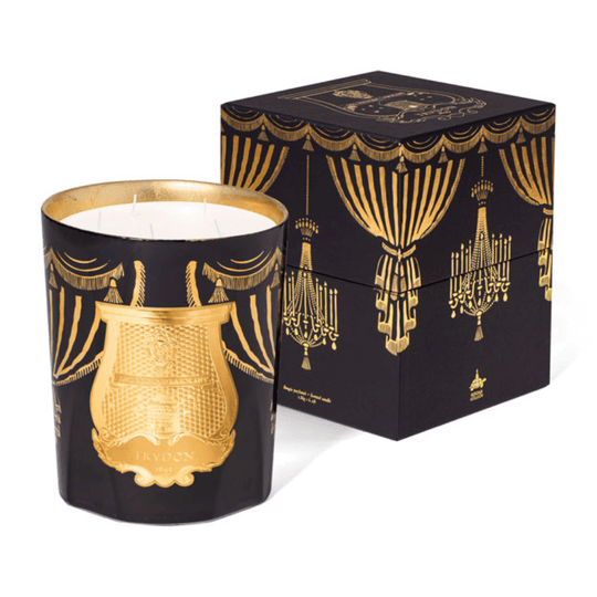 Trudon - Xmas 2024 - Fir Candle - Ascent Luxury Cosmetics