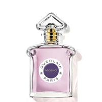 Guerlain - Insolence EDP 75ml - Ascent Luxury Cosmetics
