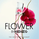 Kenzo