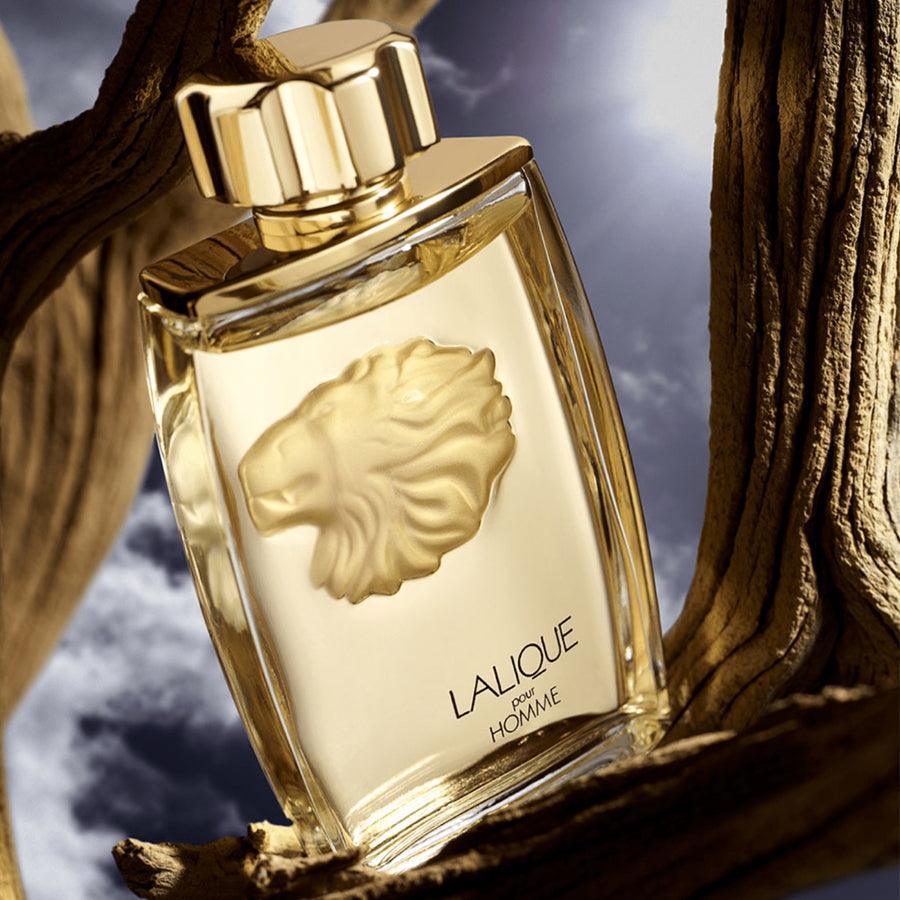 Lalique - Pour Homme Lion Men EDP 100ml - Ascent Luxury Cosmetics