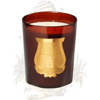 Trudon - Cire Candle - Ascent Luxury Cosmetics
