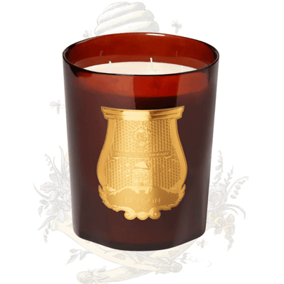 Trudon - Cire Candle - Ascent Luxury Cosmetics