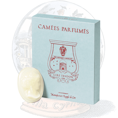 Trudon - Cyrnos Scented Cameos (Box of 4) - Ascent Luxury Cosmetics