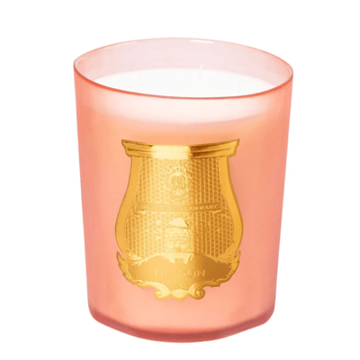 Trudon -Tuileries Candle - Ascent Luxury Cosmetics